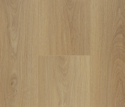 FLOOR | Floortex Pinaco Selection Laminate 12mm